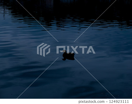 一隻水邊鳥 124923111