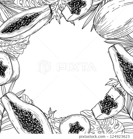 Vector tropical papaya fruit and monstera, palm leaf square frame in monochrome linear style. Exotic pawpaw slices with seeds on leaves graphic illustration with copy space for text. Summer border. 124923623