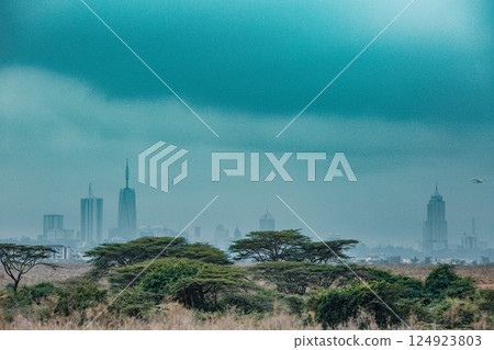 Nairobi National Park is a national park in Kenya that was established in 1946 about 7 km south of Nairobi. It is fenced on three sides, whereas the open southern boundary allows migrating wildlife to 124923803