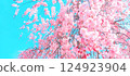 櫻花的照片 124923904