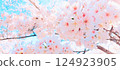 櫻花的照片 124923905