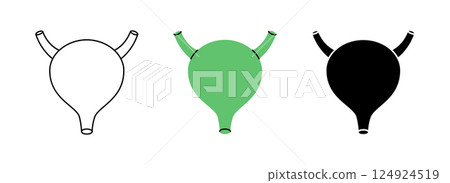 Bladder icon set. Human internal organ anatomy. Vector illustration. 124924519