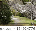 Cherry blossom tunnel road 2 124924776