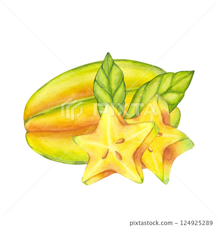 Watercolor starfruit. Averrhoa carambola or Bilimbi. Whole yellow fruit and slices with green leaf foliage. Botanical exotic star apple. Hand drawn illustration isolated on white background. For menu 124925289