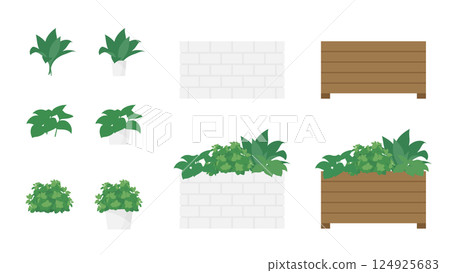 戶外盆種植的小型觀賞植物插圖集 124925683