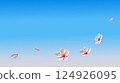 Cherry blossom petals dancing in the spring breeze, blue sky background, simple material 124926095