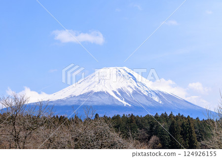 Beautiful Mount Fuji seen from Asagiri Plateau in spring Beautiful Mount Fuji seen from Asagiri Plateau in spring 124926155