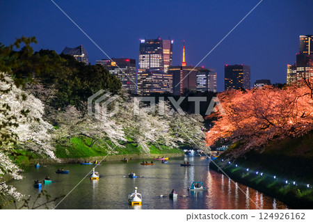 Chiyoda-ku, Tokyo Spring Chidorigafuchi Cherry Blossoms at Night 124926162