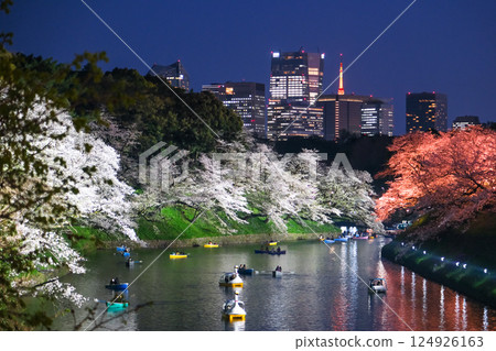 東京都千代田區 春天的千鳥淵櫻花盛開 東京都千代田區 春天的千鳥淵櫻花盛開 124926163