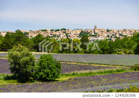 Hilltop Puimoisson village, Provence France 124926306