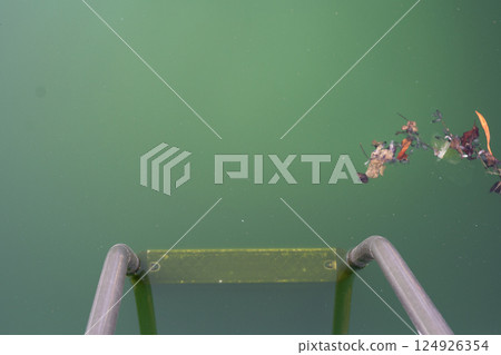 Swimming pool with dirty green water close-up. 124926354