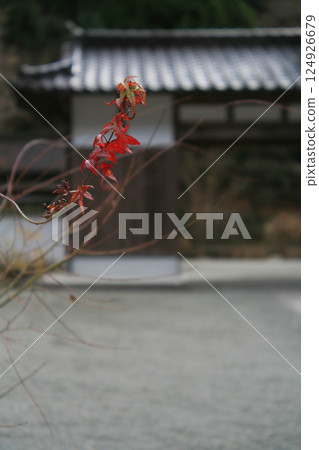 Mountain temple gate and maple leaves Mountain temple gate and maple leaves 124926679