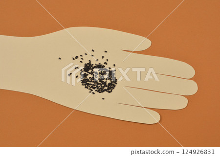 Black seeds Black seeds 124926831
