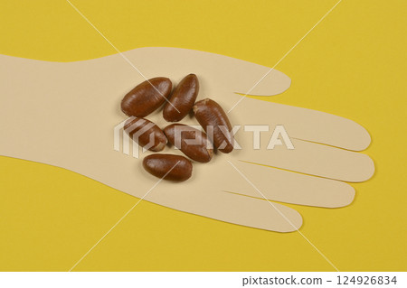 Pawpaw seeds 124926834