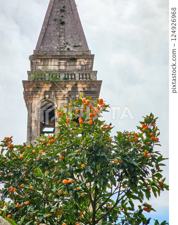 Winter Fruits of Montenegro: Fortunella Kumquat 124926968