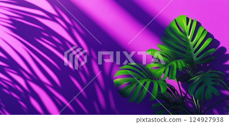 Monstera leaves casting shadows on vibrant purple wall 124927938