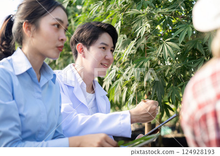 Collaborative cannabis researchers discussing plant growth and findings in a lush greenhouse environment Collaborative cannabis researchers discussing plant growth and findings in a lush greenhouse environment 124928193