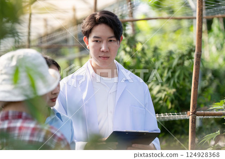 Cannabis research in greenhouse facility agricultural development modern environment scientific approach Cannabis research in greenhouse facility agricultural development modern environment scientific approach 124928368