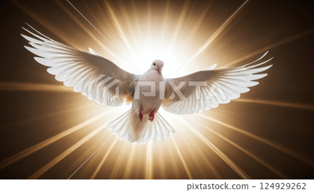 illustration of a white dove flying free with delicate rays of light behind it 124929262