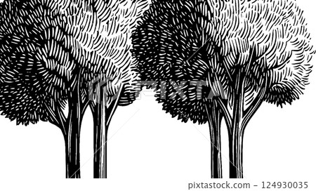 Stylized Black and White Tree Illustration Stylized Black and White Tree Illustration 124930035