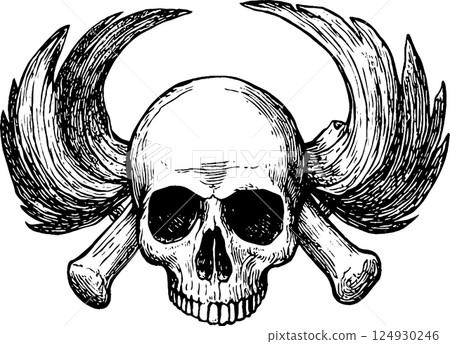 Skull with Wings and Crossed Bones Illustration 124930246