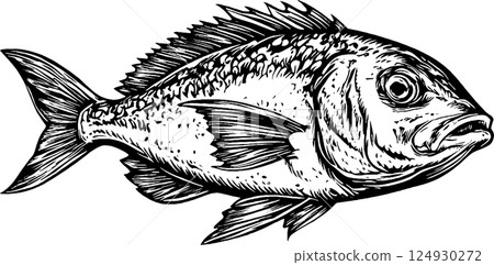 Detailed Black and White Fish Illustration 124930272