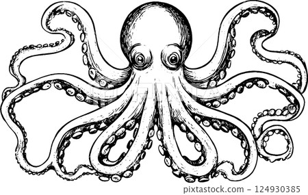 Detailed Black and White Octopus Illustration Detailed Black and White Octopus Illustration 124930385