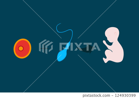 In vitro fertilization. Artificial insemination. Freezing of eggs and sperm. Fertilization process. In vitro fertilization. Artificial insemination. Freezing of eggs and sperm. Fertilization process. 124930399