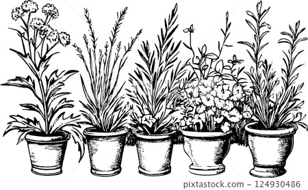 A collection of various potted plants illustrated in a vintage style. Each pot contains different types of flowers and foliage, showcasing a diverse garden arrangement. A collection of various potted plants illustrated in a vintage style. Each pot contains different types of flowers and foliage, showcasing a diverse garden arrangement. 124930486