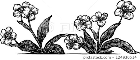 A vintage-style illustration of flowers with detailed leaves and petals, arranged in a symmetrical design. The flowers have a delicate appearance, showcasing intricate line work. A vintage-style illustration of flowers with detailed leaves and petals, arranged in a symmetrical design. The flowers have a delicate appearance, showcasing intricate line work. 124930514