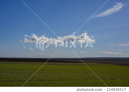 Green grass field on small hills and blue sky with clouds 124930517