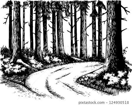 A winding path through a dense forest, surrounded by tall trees and underbrush. The scene is illustrated in a black and white sketch style, emphasizing the natural textures of the bark and foliage. 124930518