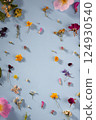 spring floral composition pattern on blue background 124930540