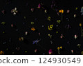 spring pattern of flowers on a black background texture of wildflowers 124930549