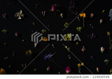 spring pattern of flowers on a black background texture of wildflowers 124930549