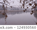 winter landscape tree branches bent view of the lake 124930560