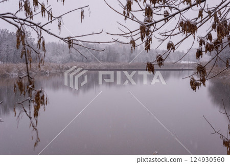 winter landscape tree branches bent view of the lake 124930560