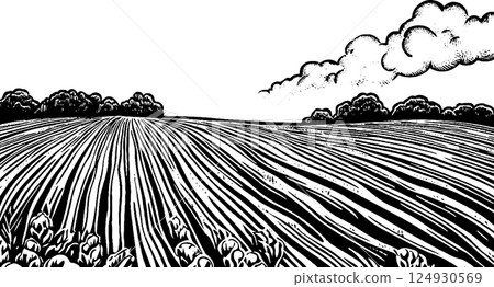 A stylized black and white illustration of a vast agricultural field with furrows, bordered by trees and clouds in the sky. A stylized black and white illustration of a vast agricultural field with furrows, bordered by trees and clouds in the sky. 124930569