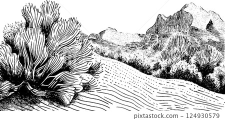 A detailed black and white illustration of a desert landscape featuring sand dunes, sparse vegetation, and distant mountains. The artwork captures the textures of the sand and plants, creating a 124930579