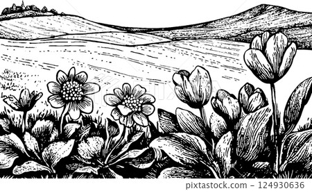 Black and White Floral Landscape Illustration Black and White Floral Landscape Illustration 124930636