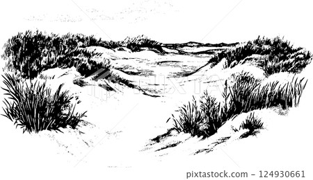 Serene Black and White Dune Landscape 124930661