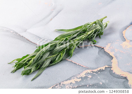 Fresh green estragon aroma stem Fresh green estragon aroma stem 124930858