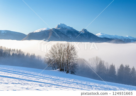 Snowy winter landscape in a misty sunny morning. The Mala Fatra national park in northwest of Slovakia, Europe. 124931665
