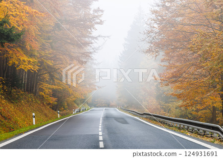 Road through a colored forest in a foggy autumn landscape. Road through a colored forest in a foggy autumn landscape. 124931691