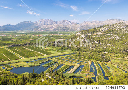 Delta of the Neretva river near the mouth of river into Adriatic Sea, Croatia, Europe. Lush valley with unique agriculture fields and irrigation canals, set against a mountain backdrop. 124931790