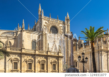 Seville Cathedral, The Cathedral of Saint Mary of the See in Seville town, Andalusia, Spain, Europe. Ornate cathedral facade under a bright blue sky. Architectural details and a palm tree. Seville Cathedral, The Cathedral of Saint Mary of the See in Seville town, Andalusia, Spain, Europe. Ornate cathedral facade under a bright blue sky. Architectural details and a palm tree. 124931877