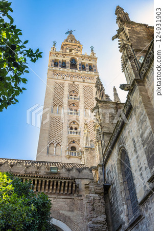 The Giralda bell tower of The Seville Cathedral, The Cathedral of Saint Mary of the See in Seville town, Andalusia, Spain, Europe. Tall, ornate tower against a clear blue sky. 124931903