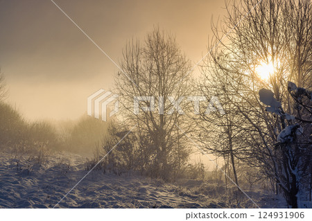 Snowy winter landscape in a misty sunny morning. The Orava region in north of Slovakia, Europe. 124931906