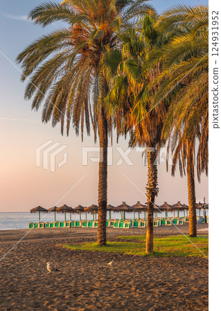 Malaga, seaside city in Andalusia, Spain, Europe. Sunrise on a tropical beach with palm trees and beach umbrellas. 124931952
