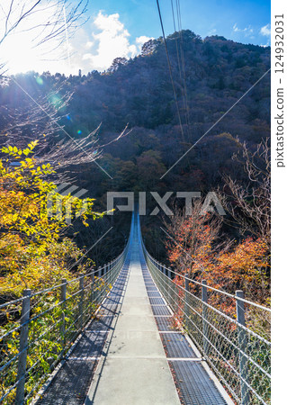 [德島]龍宮懸崖公園吊橋[東祖谷] 124932031